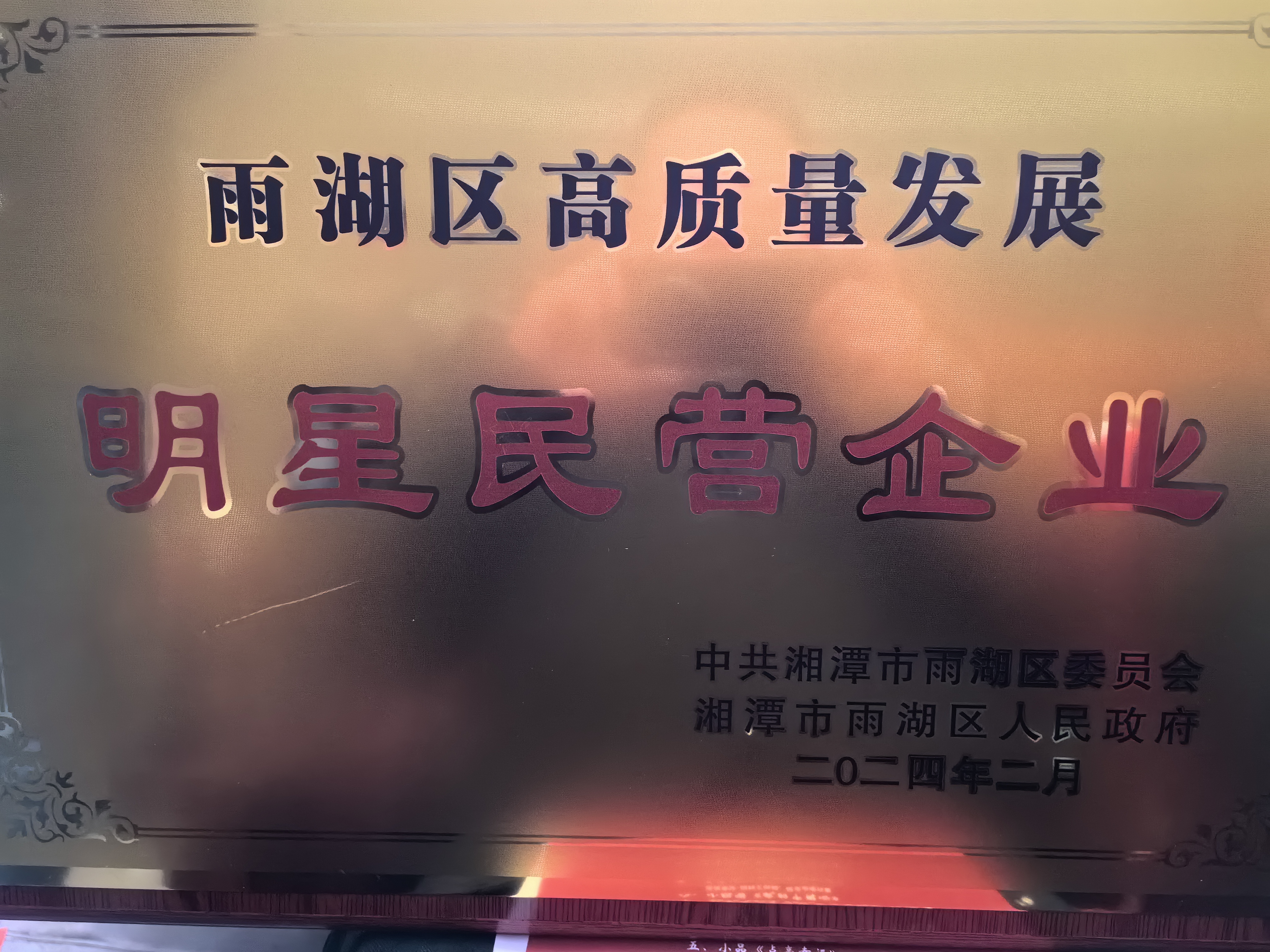 雷竞技（RAYBET）·亚洲官方网站荣获“雨湖区高质量发展明星民营企业”称号